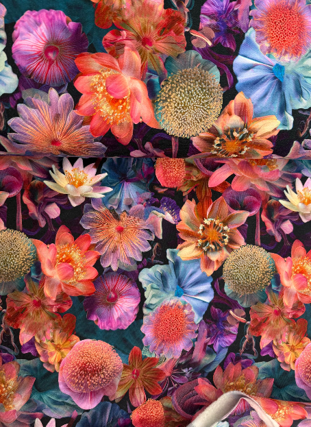 Screenshot 2026-02-05 124337.png