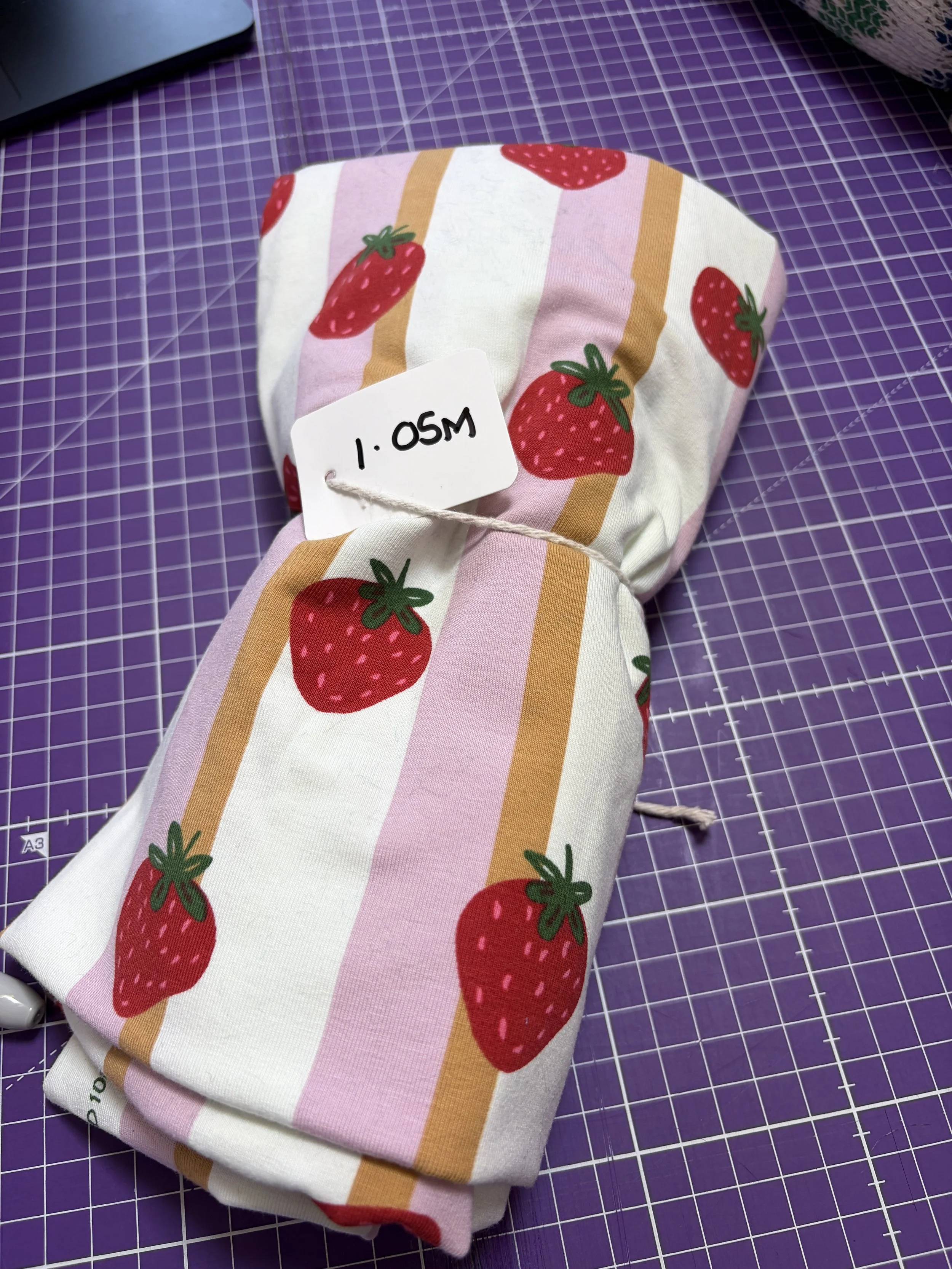 1.05m Strawberry Sundae Stripes—  Cotton Jersey - Ivory