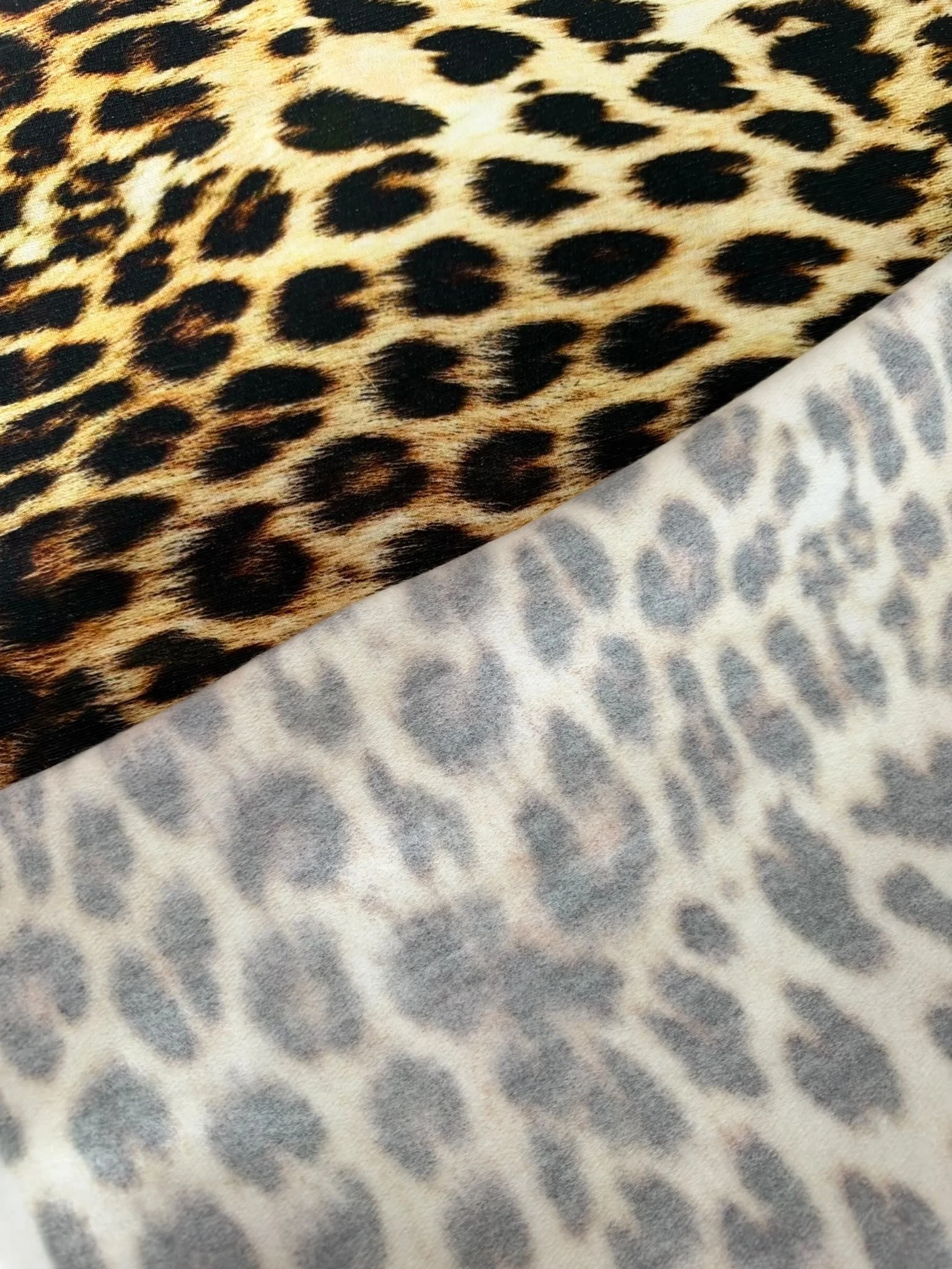 leopard bundle 2.jpg