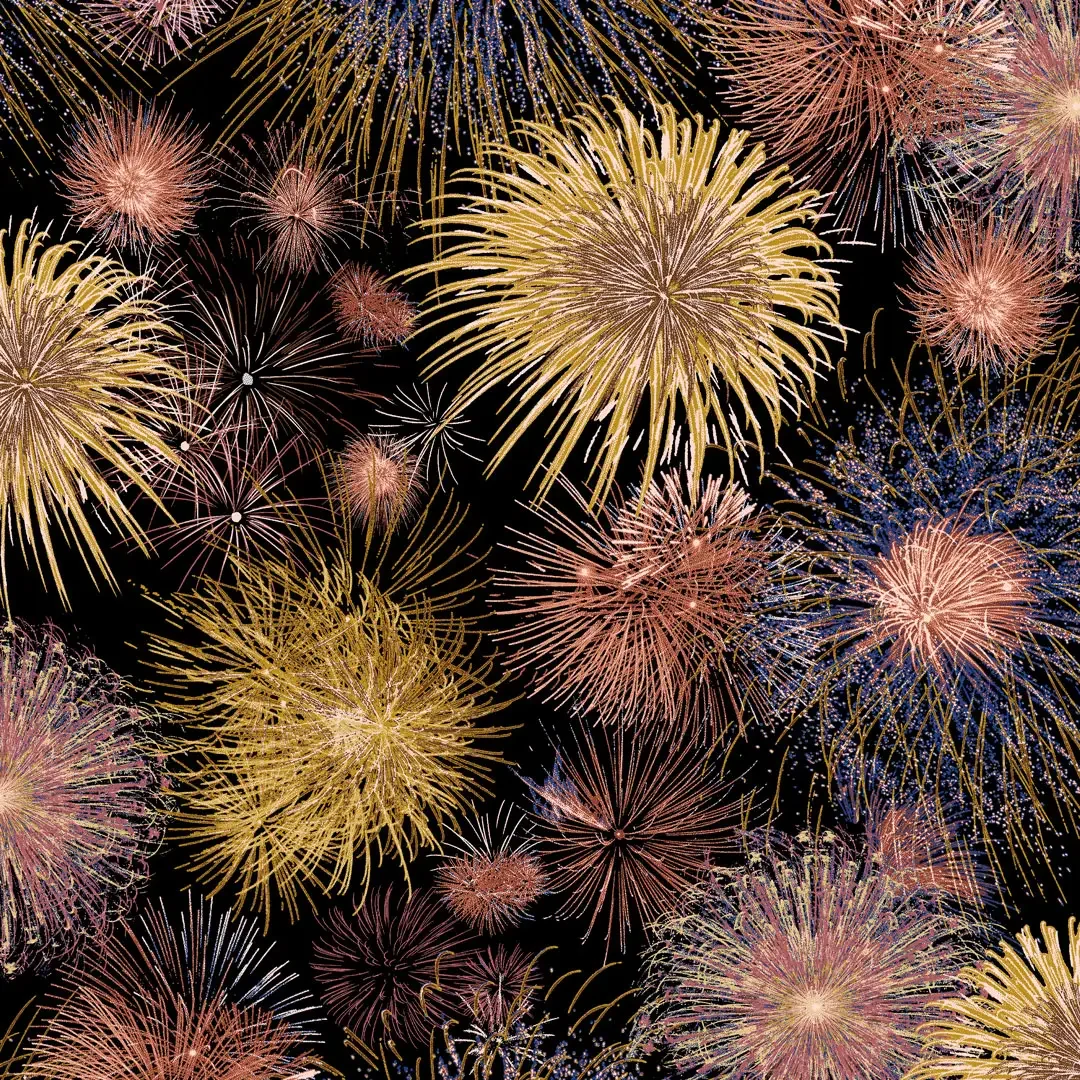 firework B.webp