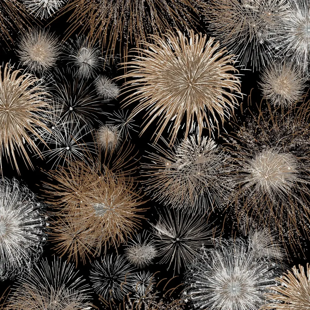 firework s.webp