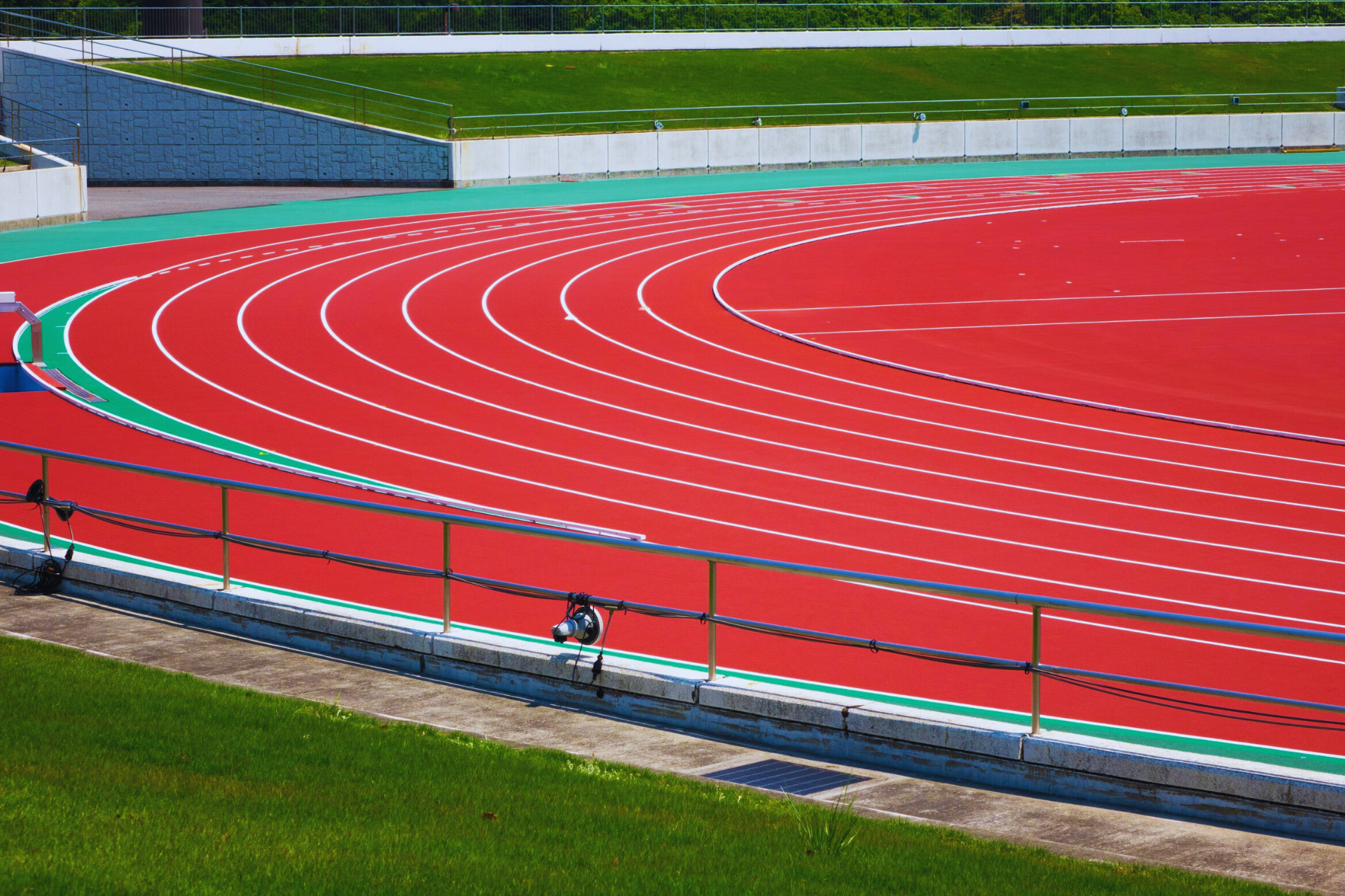 Athletics in Business: What Founders Can Learn from Elite Performance