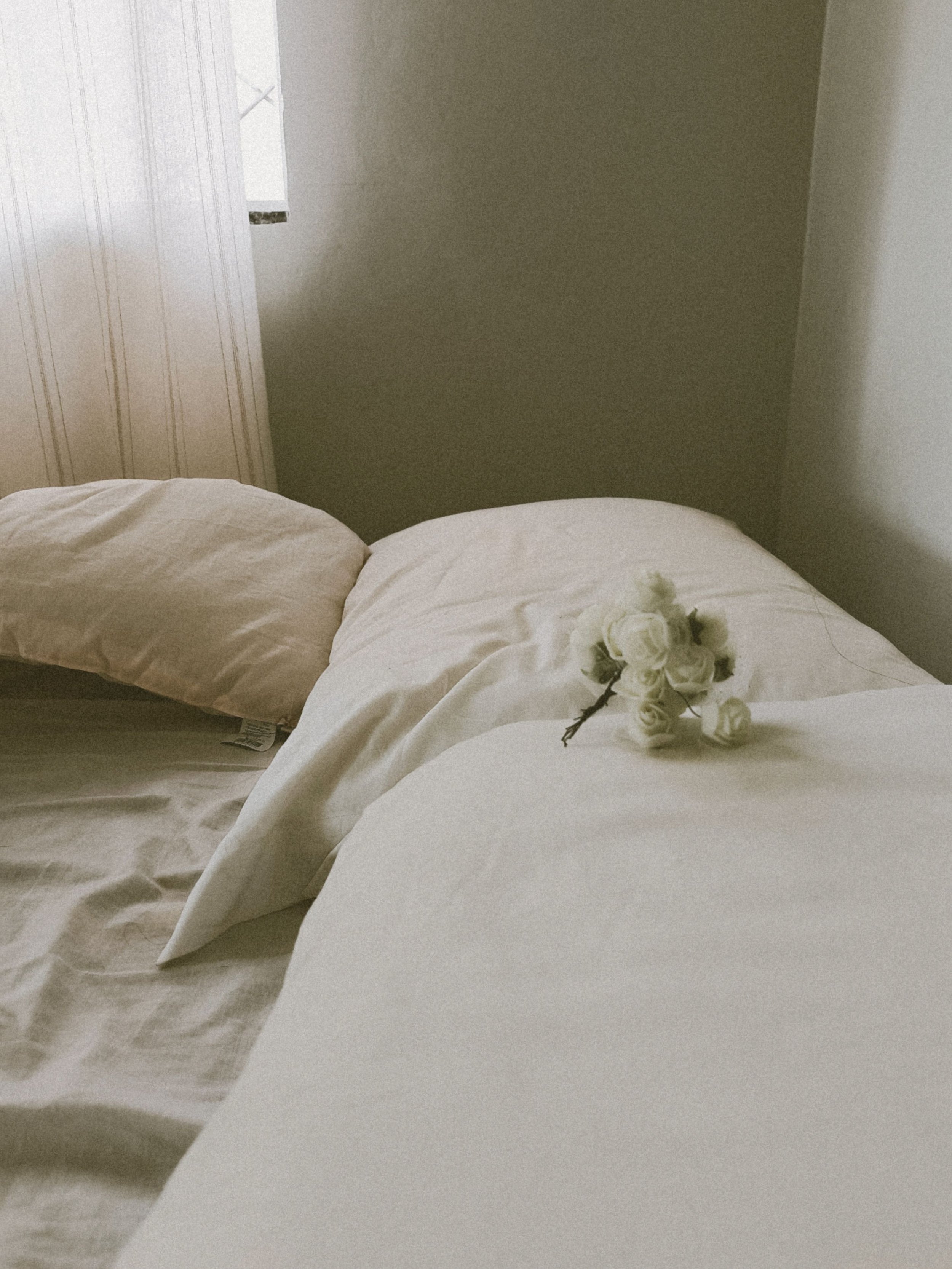 The Philosophy of the Ordinary