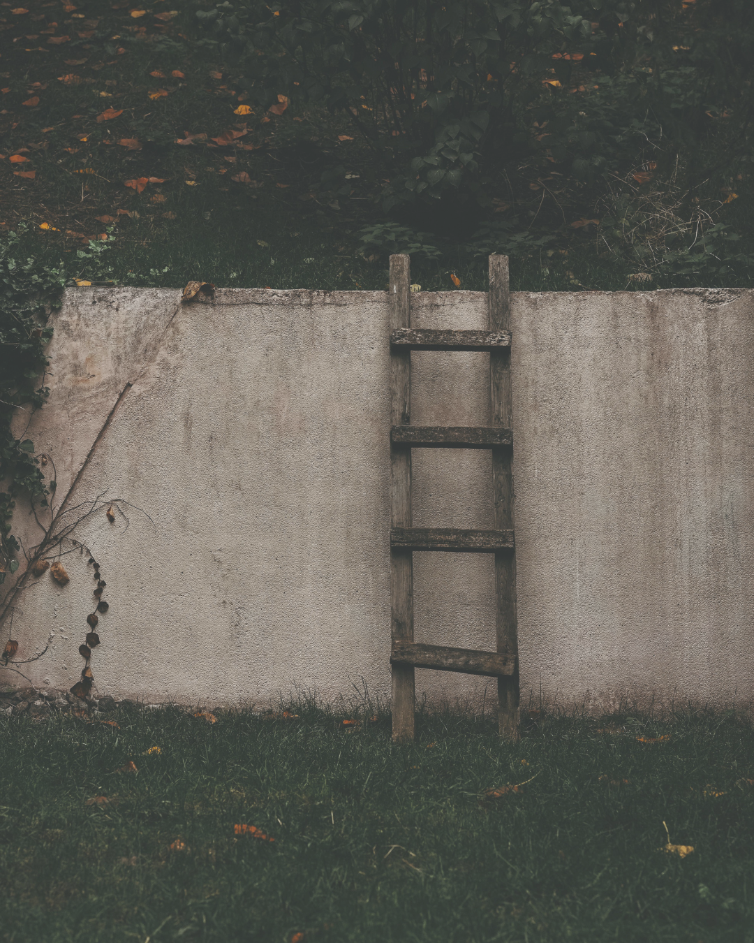 The Philosophy of Being in Someone’s Corner