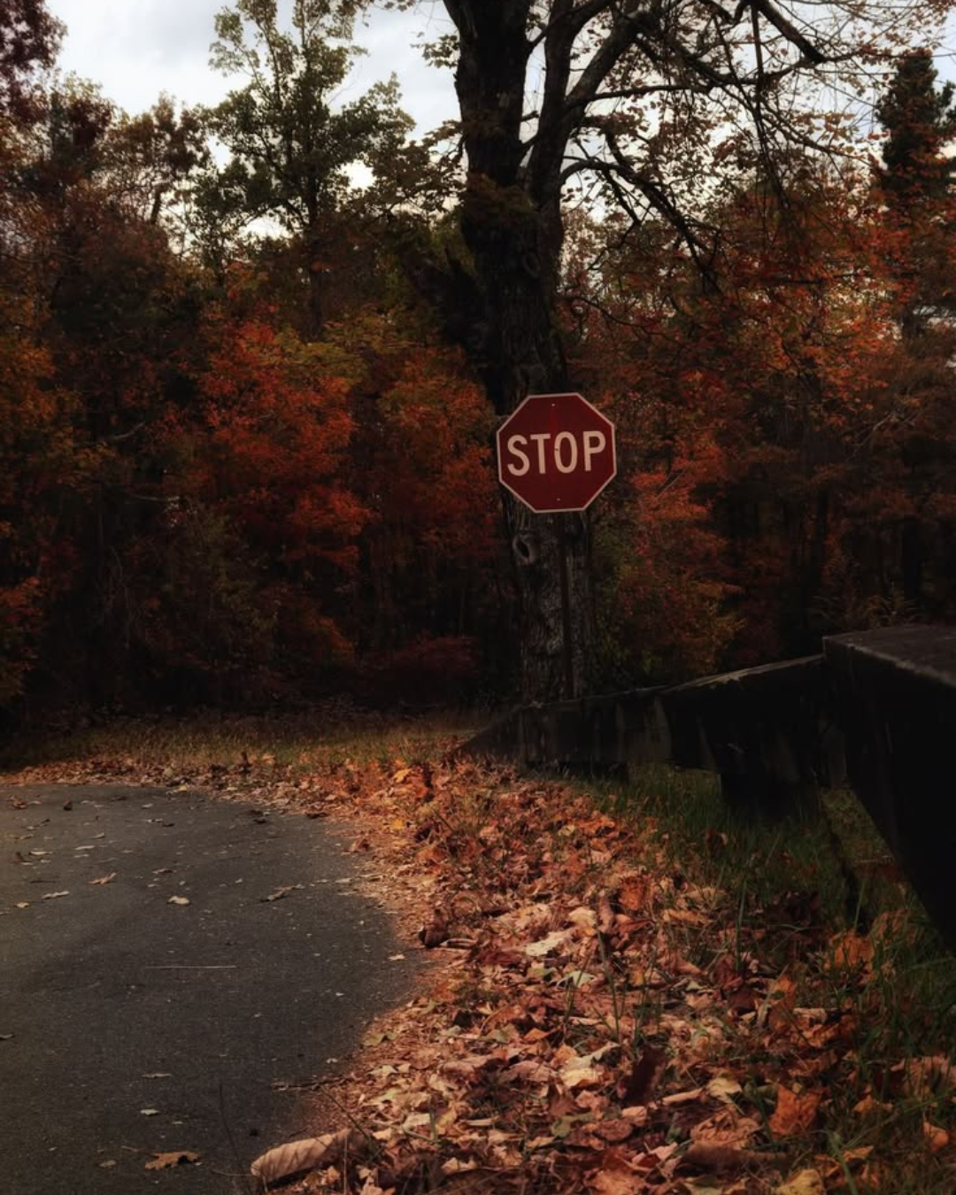 The Philosophy of a New Season