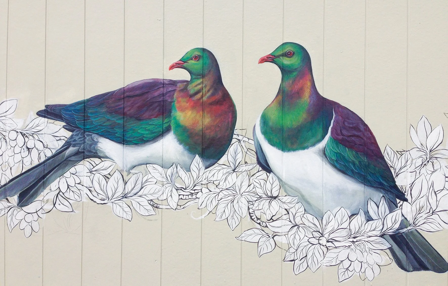 Kereru Louise 150dpi 30cm.jpg