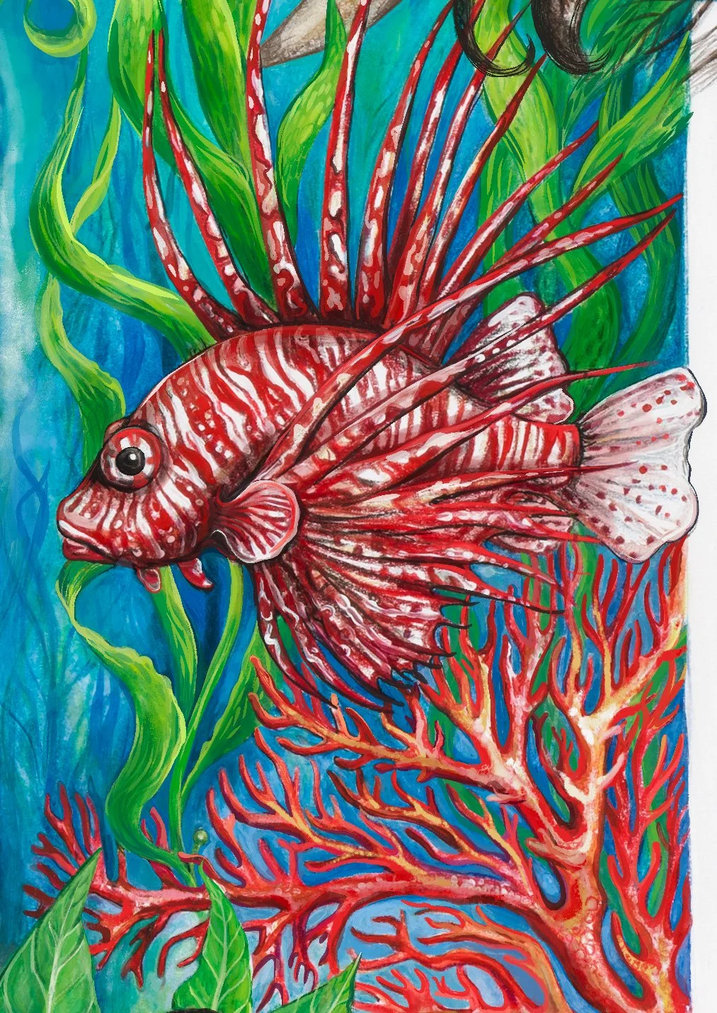 Lionfish.jpg