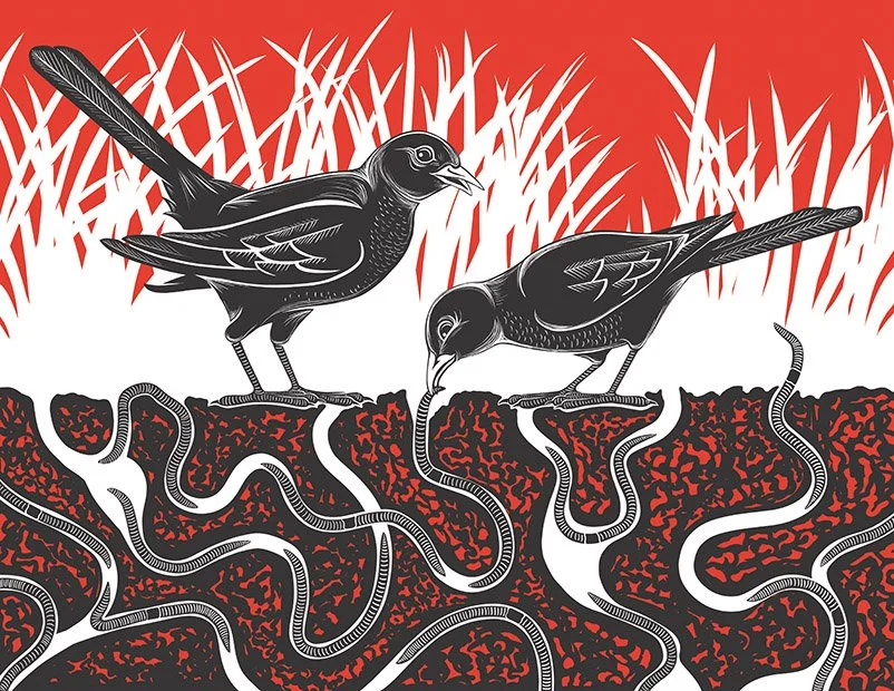 Blackbirds 150dpi 10.5cm rgb.jpg