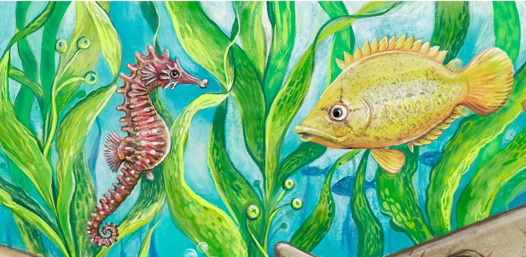 seahorse.jpg