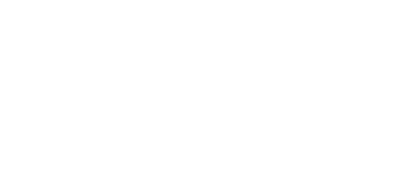 Logo with the letters W, S, and F, with the S stylized as a lightning bolt in black and white.