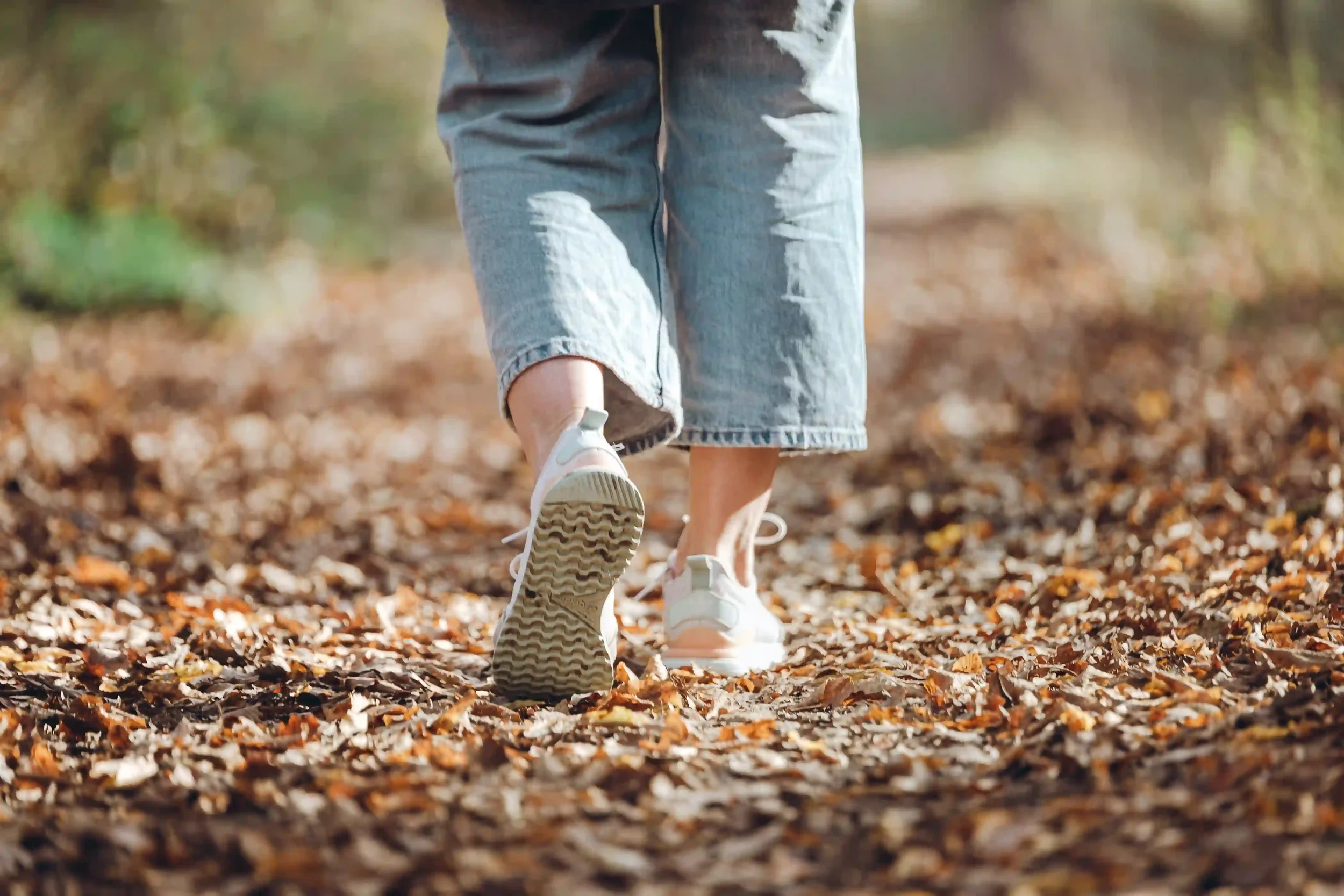 Le lancement du parcours PMA