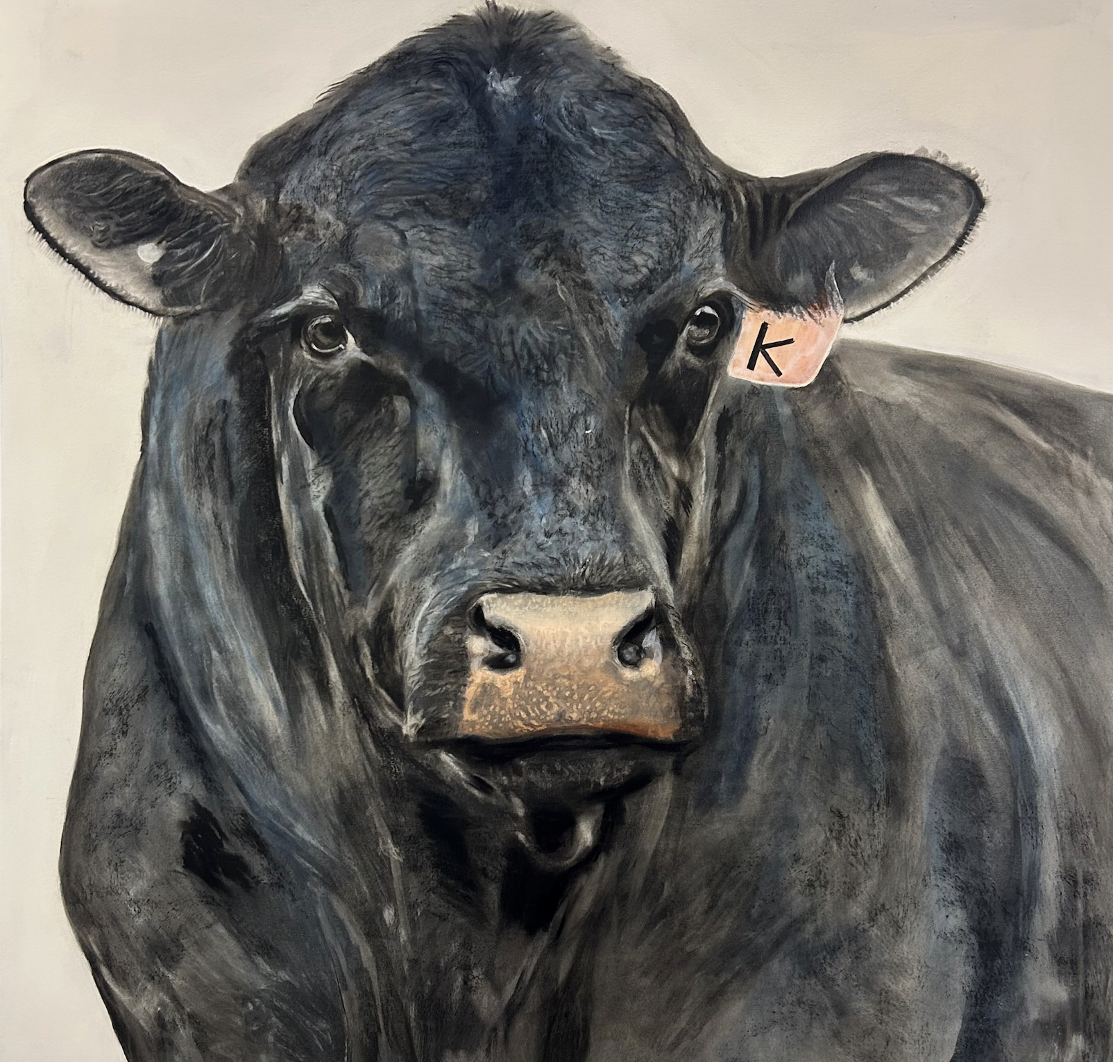 Bulls