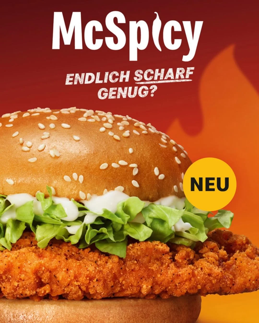 MC SPICY - STUDIO HACKENBERG