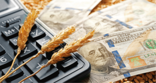 Grain Market Navigator Series