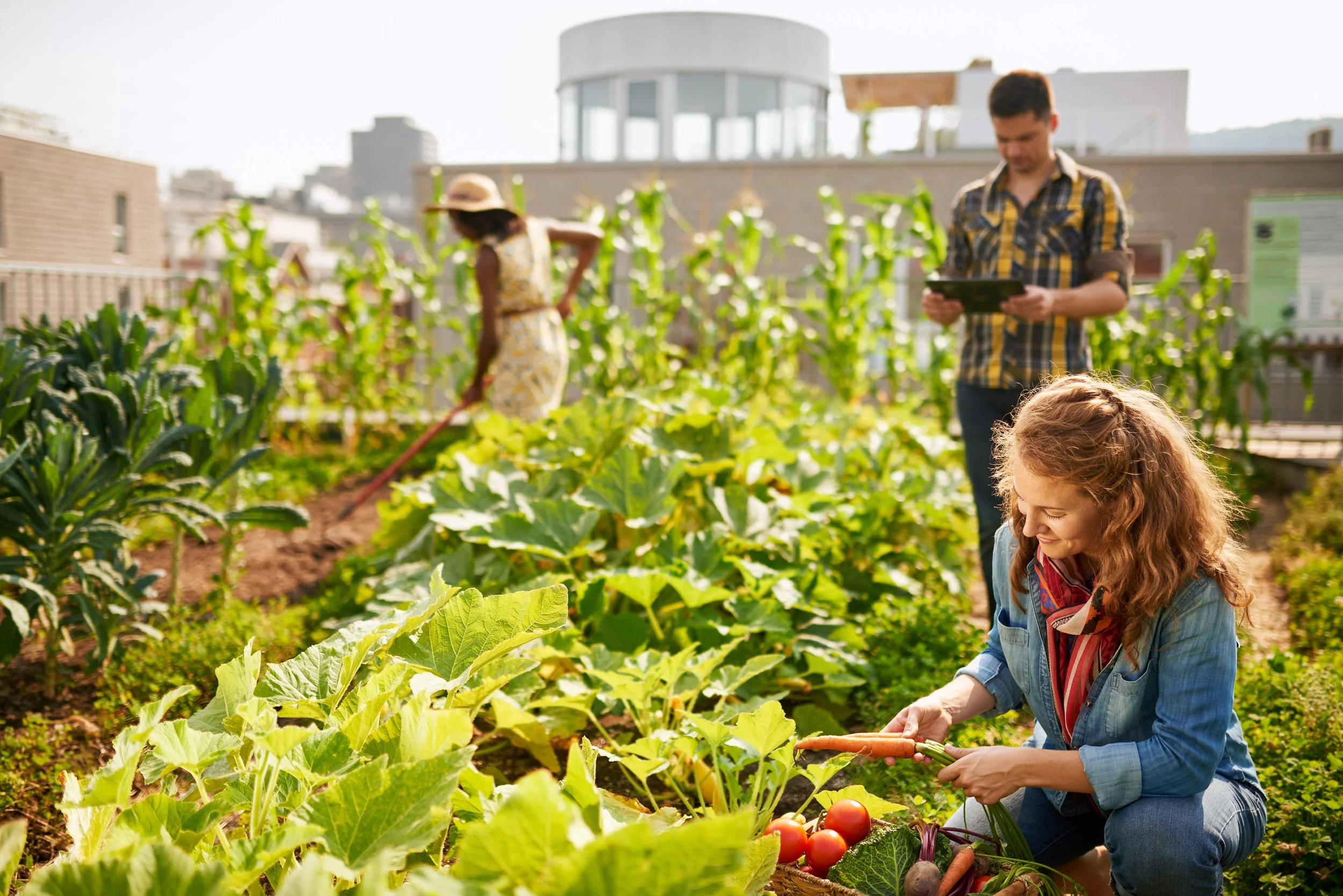 Urban Farming Signature Program
