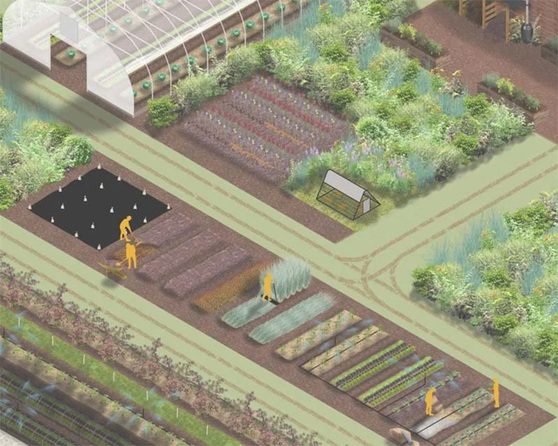 Living Farm Series: Workshop + Farmer Socials!