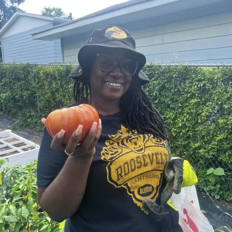 A woman wearing a Roosevelt Panthers alumni t-shirt and a baseball cap holding a large tomato in her hand, standing outdoors in a garden.