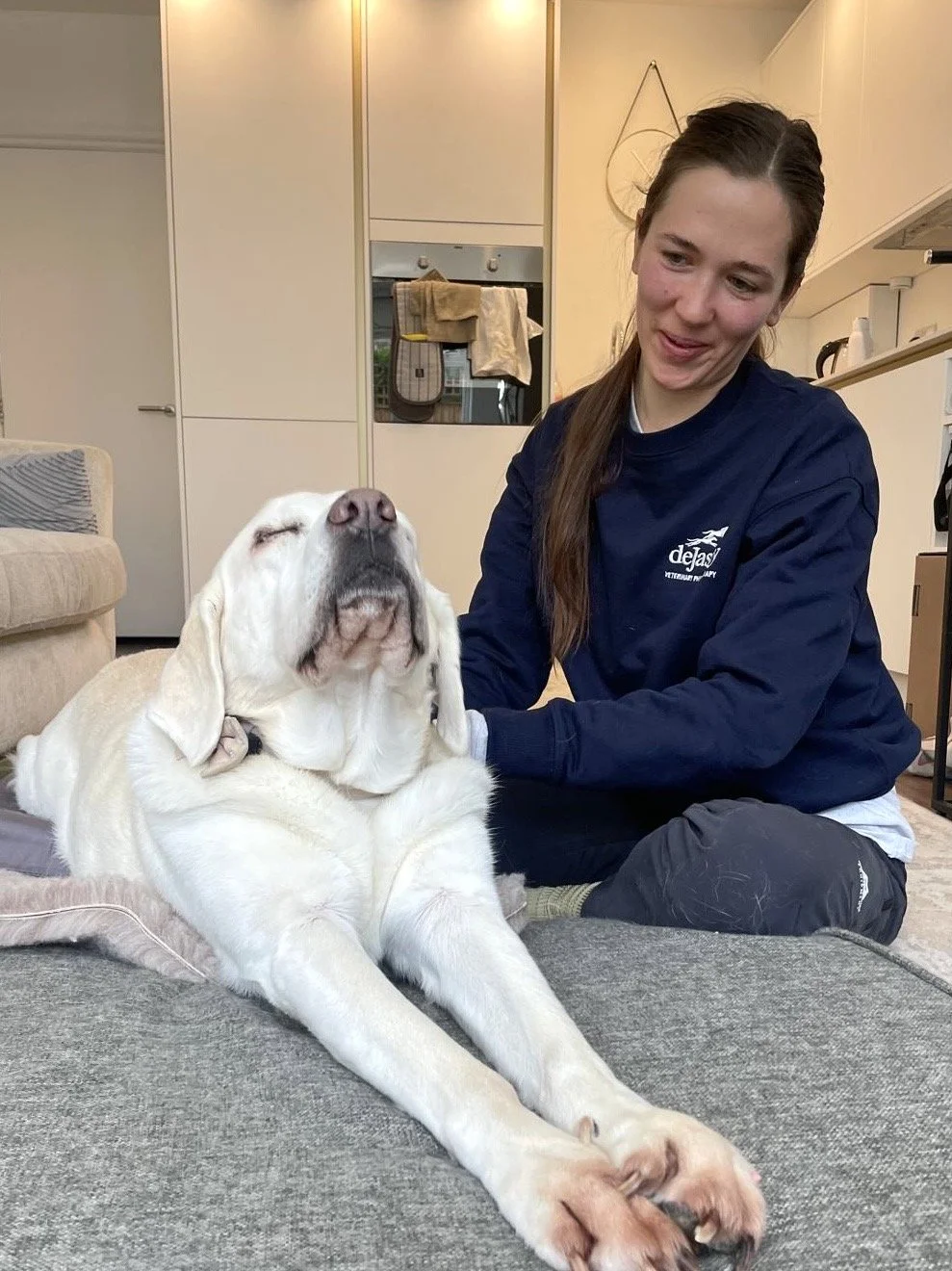 Dog patient having a stretch after treatment using massage, PEMFT and passive range of motion 