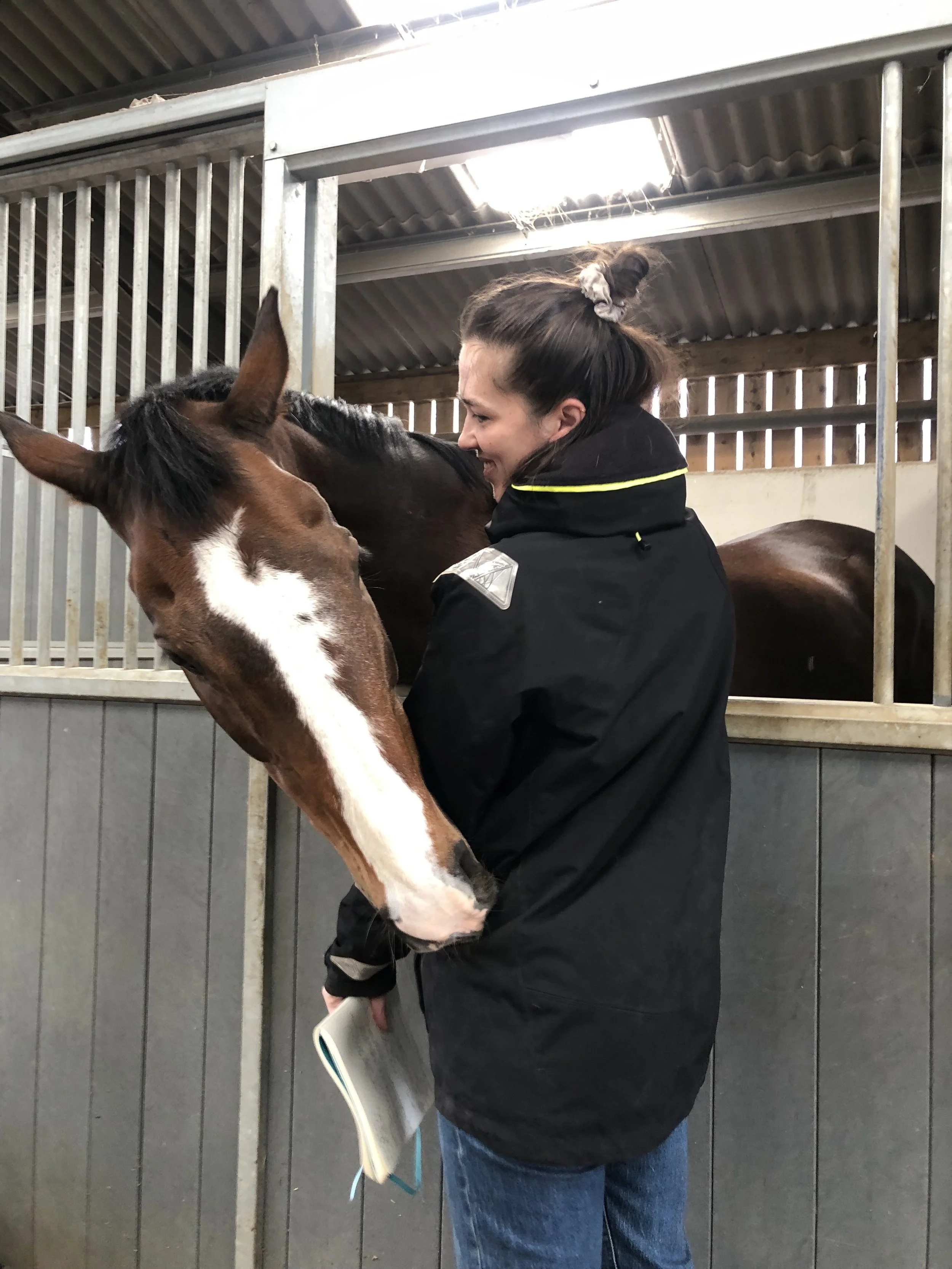 Equine patient being greeted over the stable door