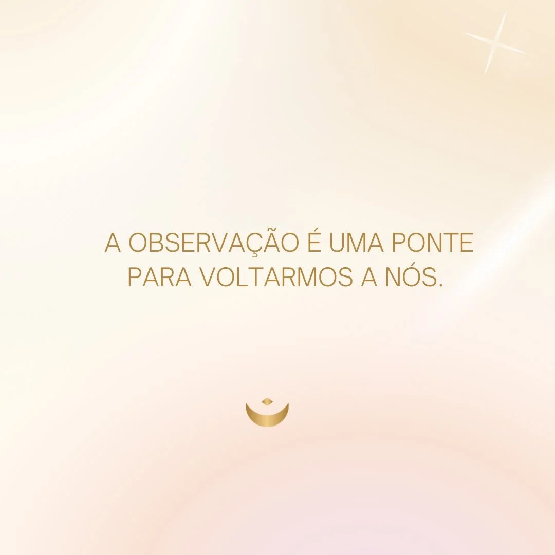 A consci&ecirc;ncia, a observa&ccedil;&atilde;o &eacute; uma ponte de volta a n&oacute;s. Segue mais em @soulightness