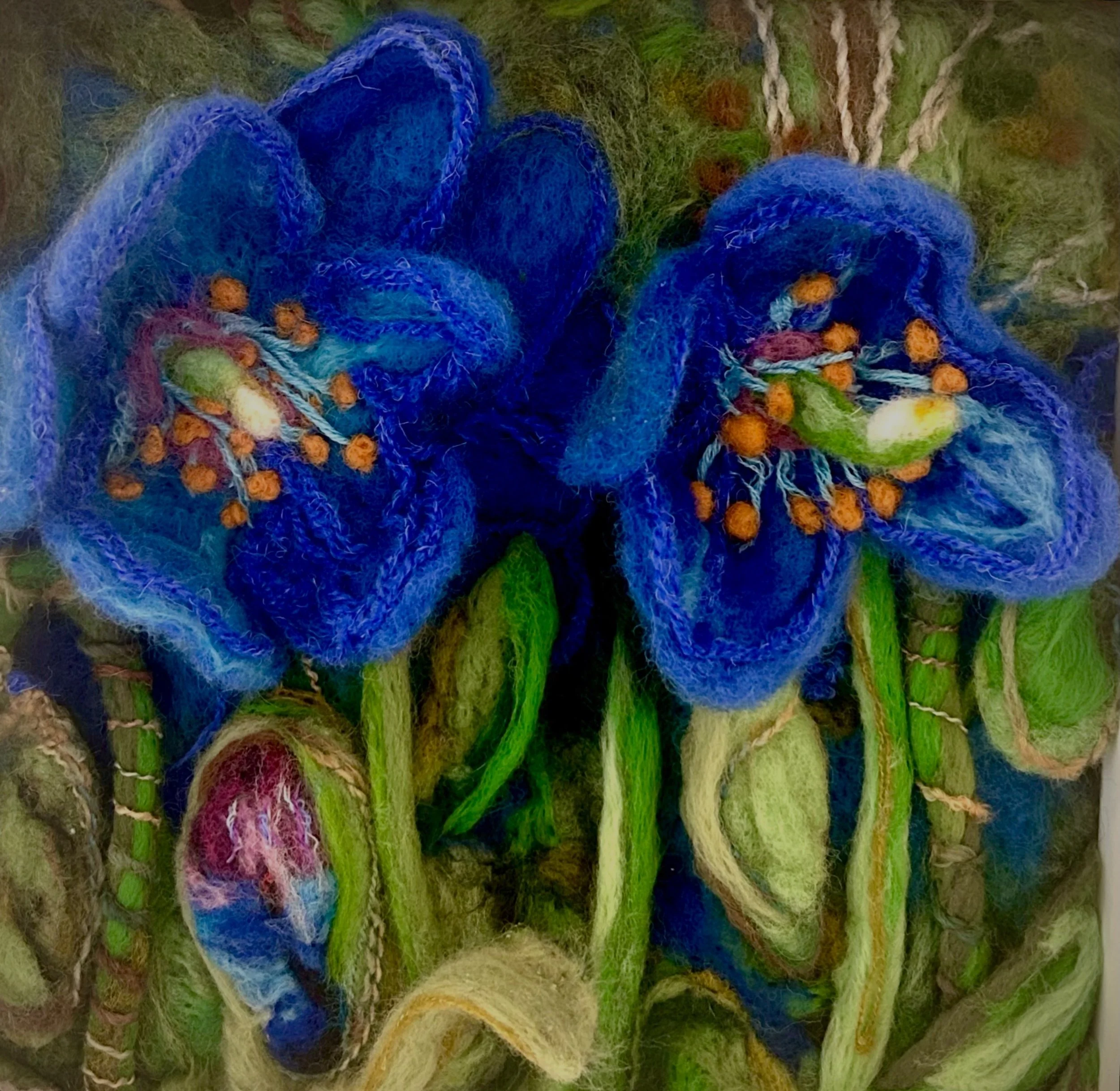 Himalayan Blue Poppy