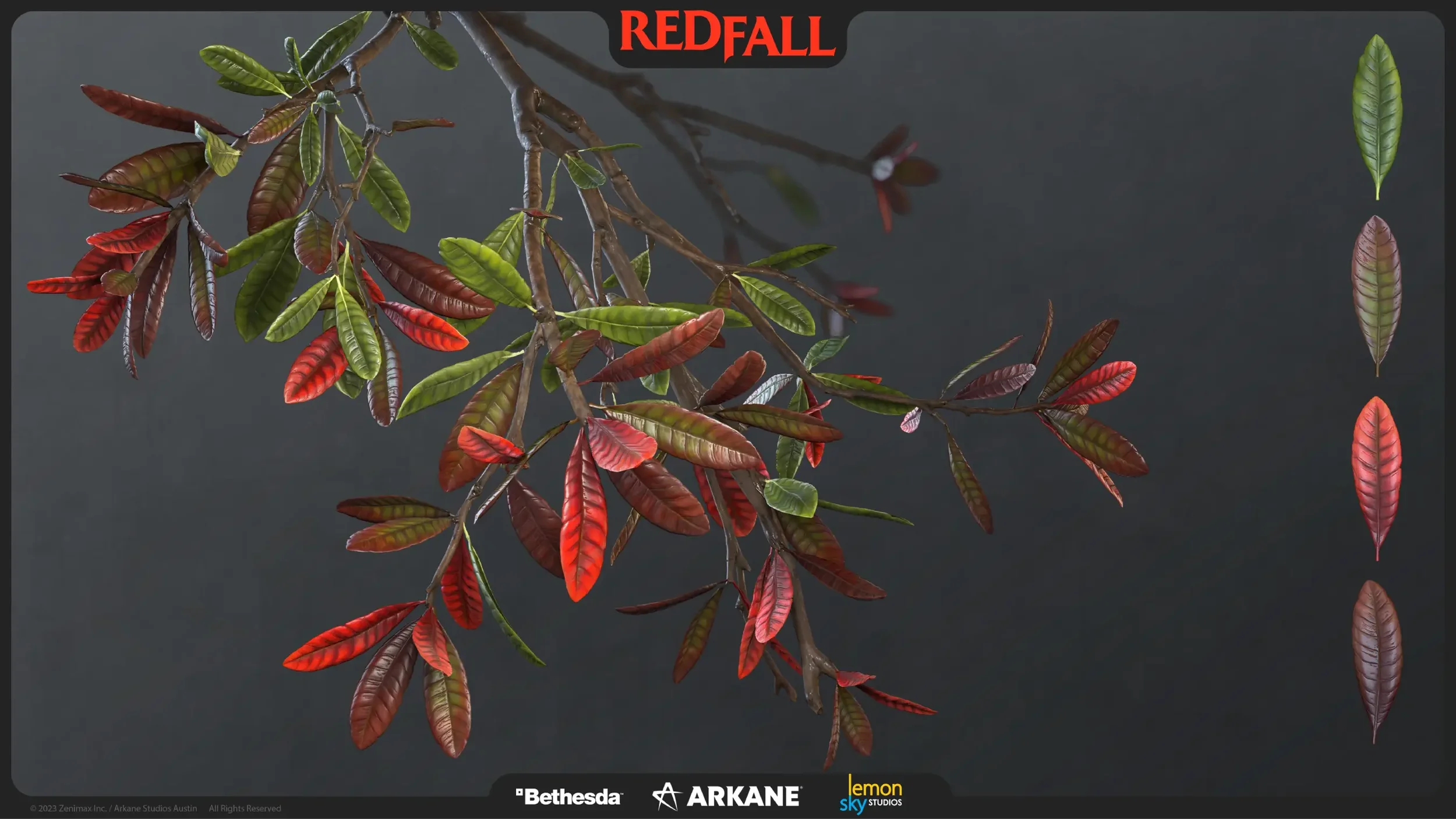 09_Northen_Bayberry_preview_full.webp