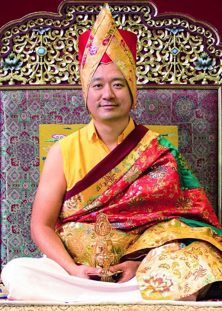 A man dressed in traditional Tibetan Buddhist monk attire, sitting on a decorated cushion with a decorative gold and red backdrop behind him, holding a small ornate object.