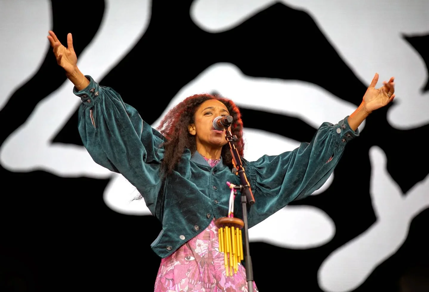 Lytham Festival Thursday. 

#lythamfestival 
#eventphotographer 
#photography
#corinnebaileyrae 
#steviewonder