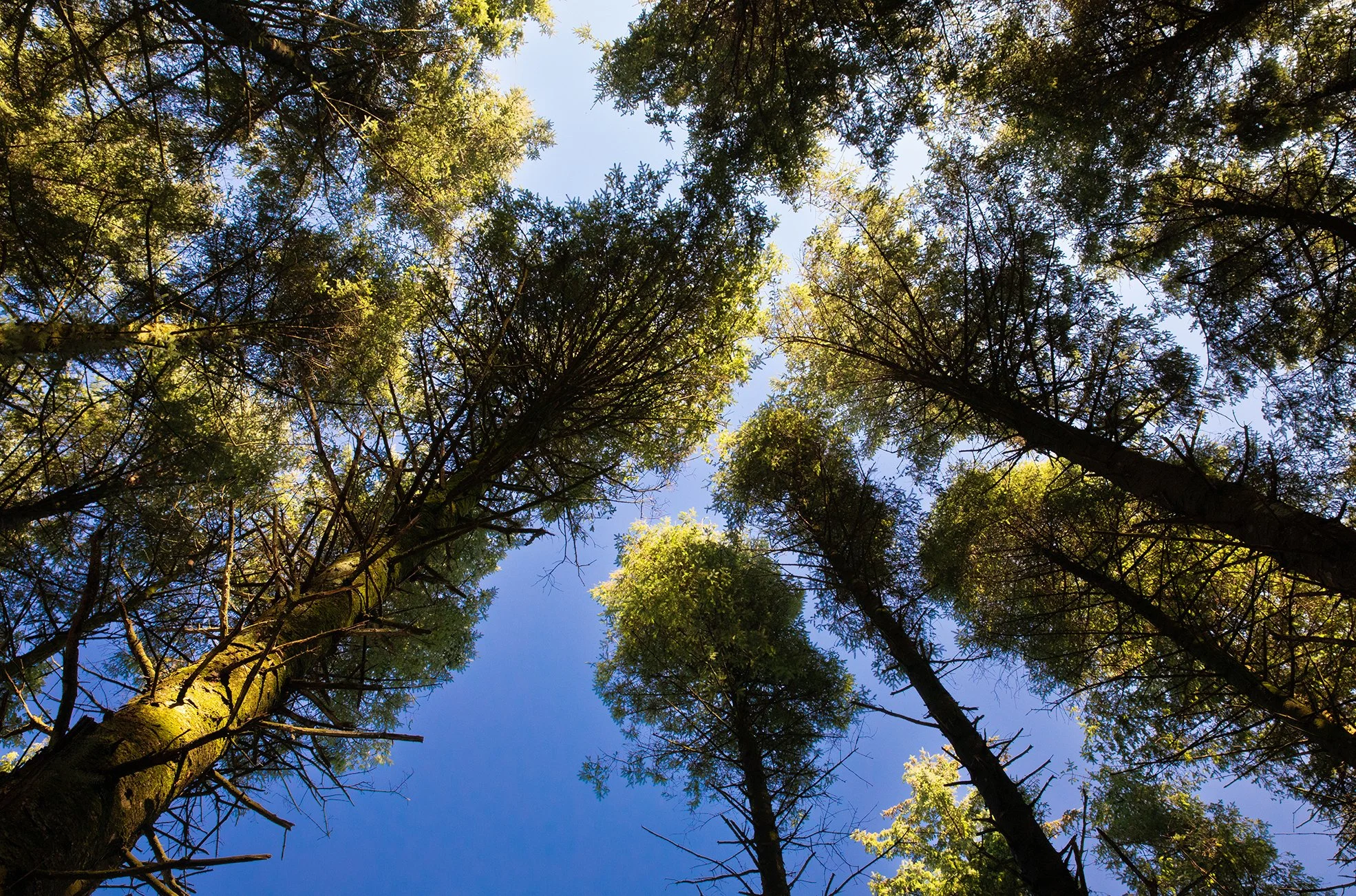 RW017339 resized.jpg