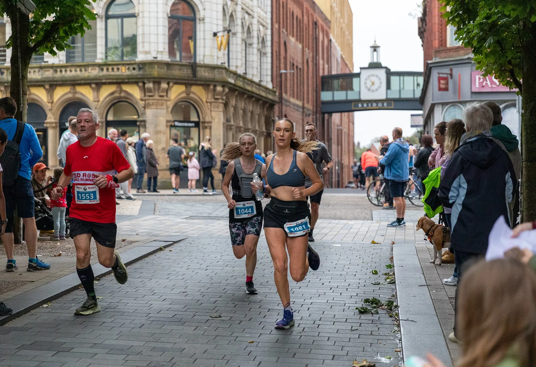 RW018224 resized.jpg