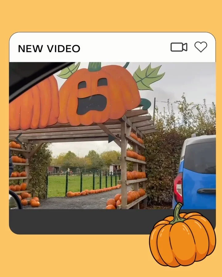 Wir haben es getan. Nach Maltes dauerndem Kürbis-Bashing ging es in die Höhle des Pumpkins. Mit @vanessa_civiello in den Kürbis-Park beim @gertrudenhof … war lustig. Wenn nur nicht das orangene Zeugs gewesen wäre. Und weil