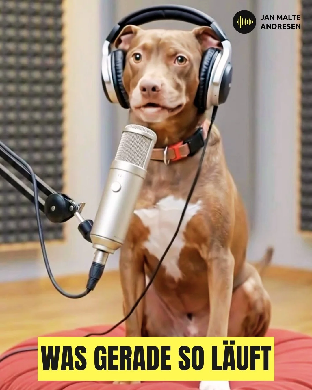 Was gerade bei mir l&auml;uft. Ungefiltert.

🎵 Hozier &mdash; Too Sweet. L&auml;uft seit Wochen. Einfach genau richtig.

📺 The Pitt. Ich schaue keine Krankenhausserien. Habe ich noch nie. Diese hier hat mich kalt erwischt.

💌 Im Zug nach Hause. La