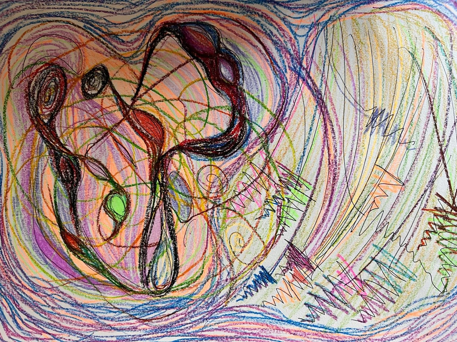 WhatsApp Image 2026-02-02 at 14.25.40 (2).jpeg