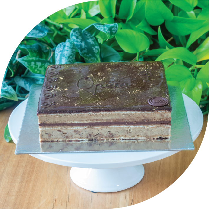 a multi-layered coffee and chocolate opera cake
