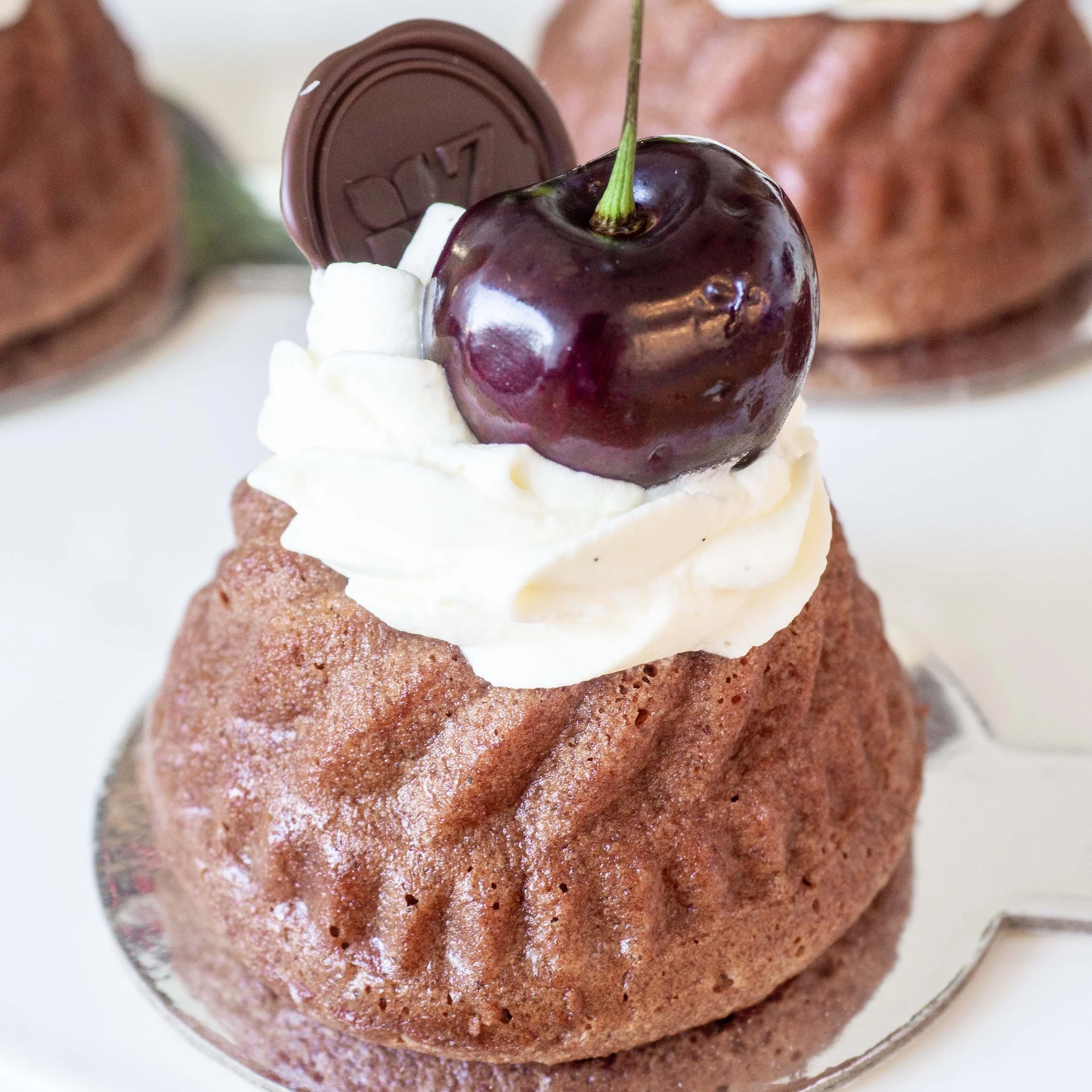 a close up of a Schwarzwälder Kirschtorte or Black Forest petit gateau with a cherry on top