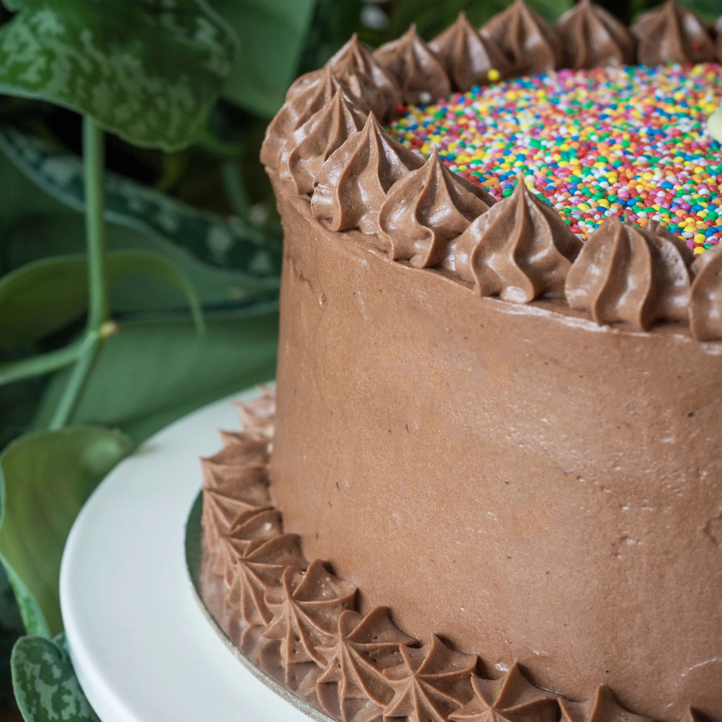 a view of the side of a colourful chocolate birthday cake with 100s and 1000s sprinkles on top