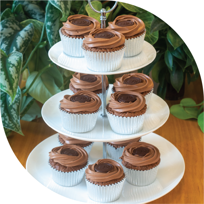 Sachertorte Cupcakes