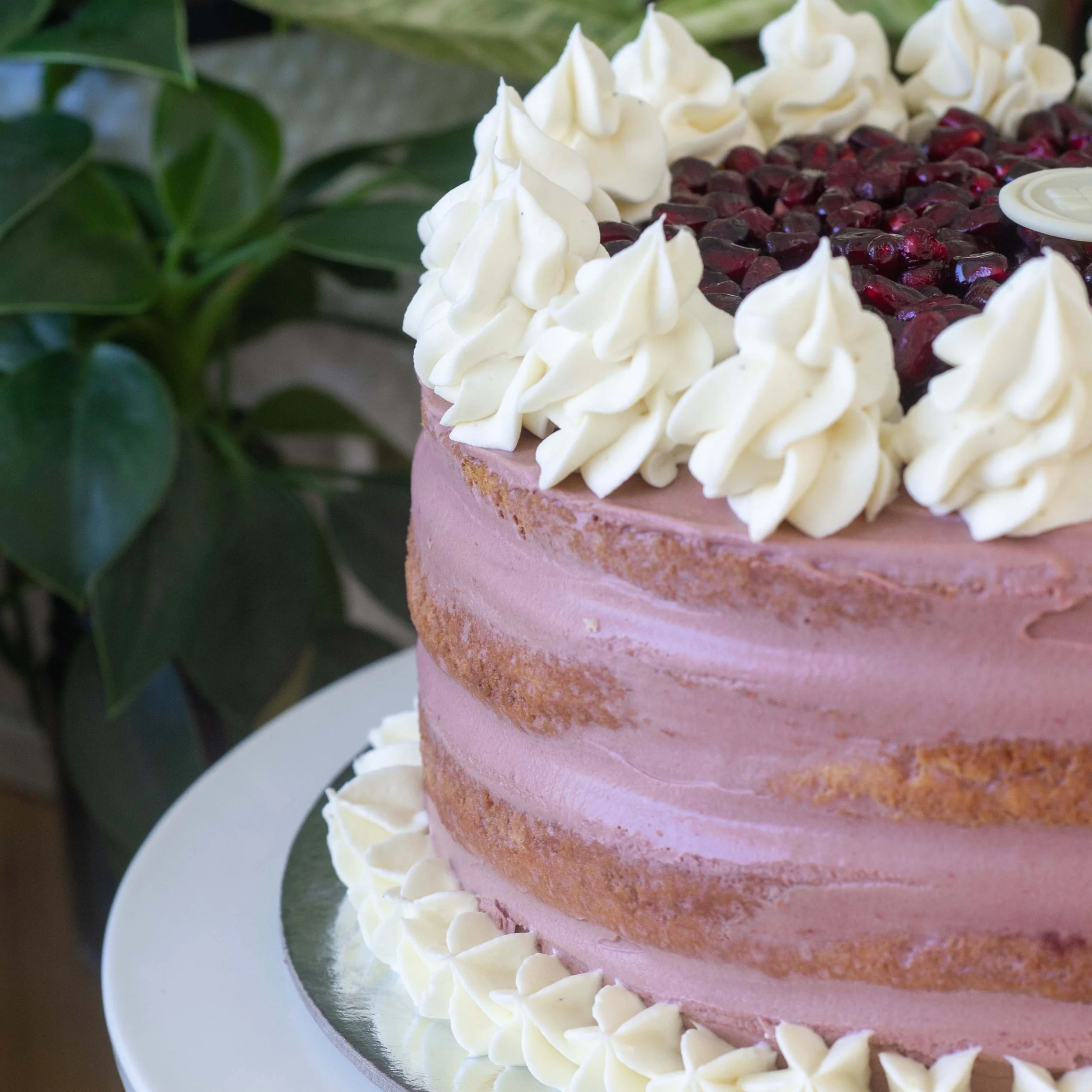 a pomegranate mousse cake with visible layers topped with pomegranate seeds