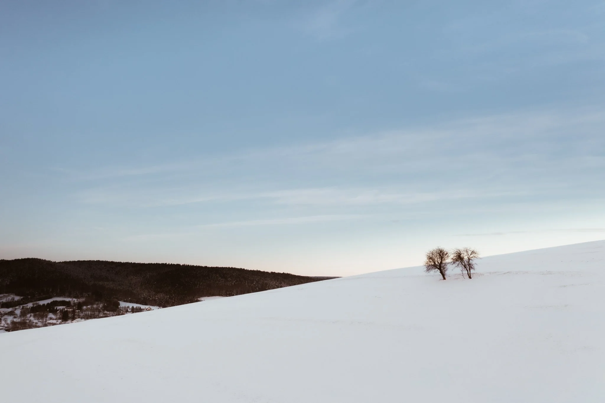 Winter Through the Lens