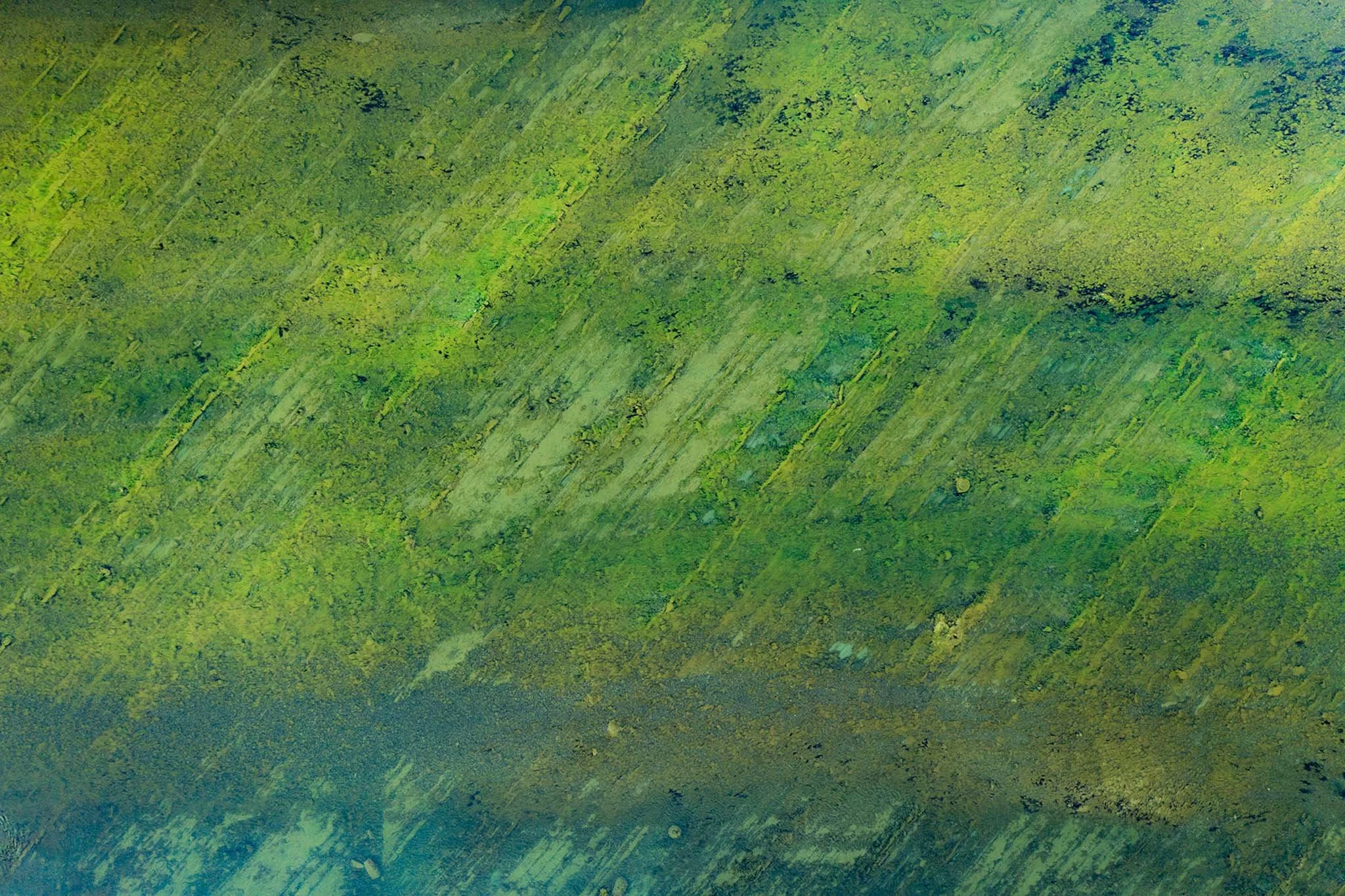 Mastering Colour in Photography