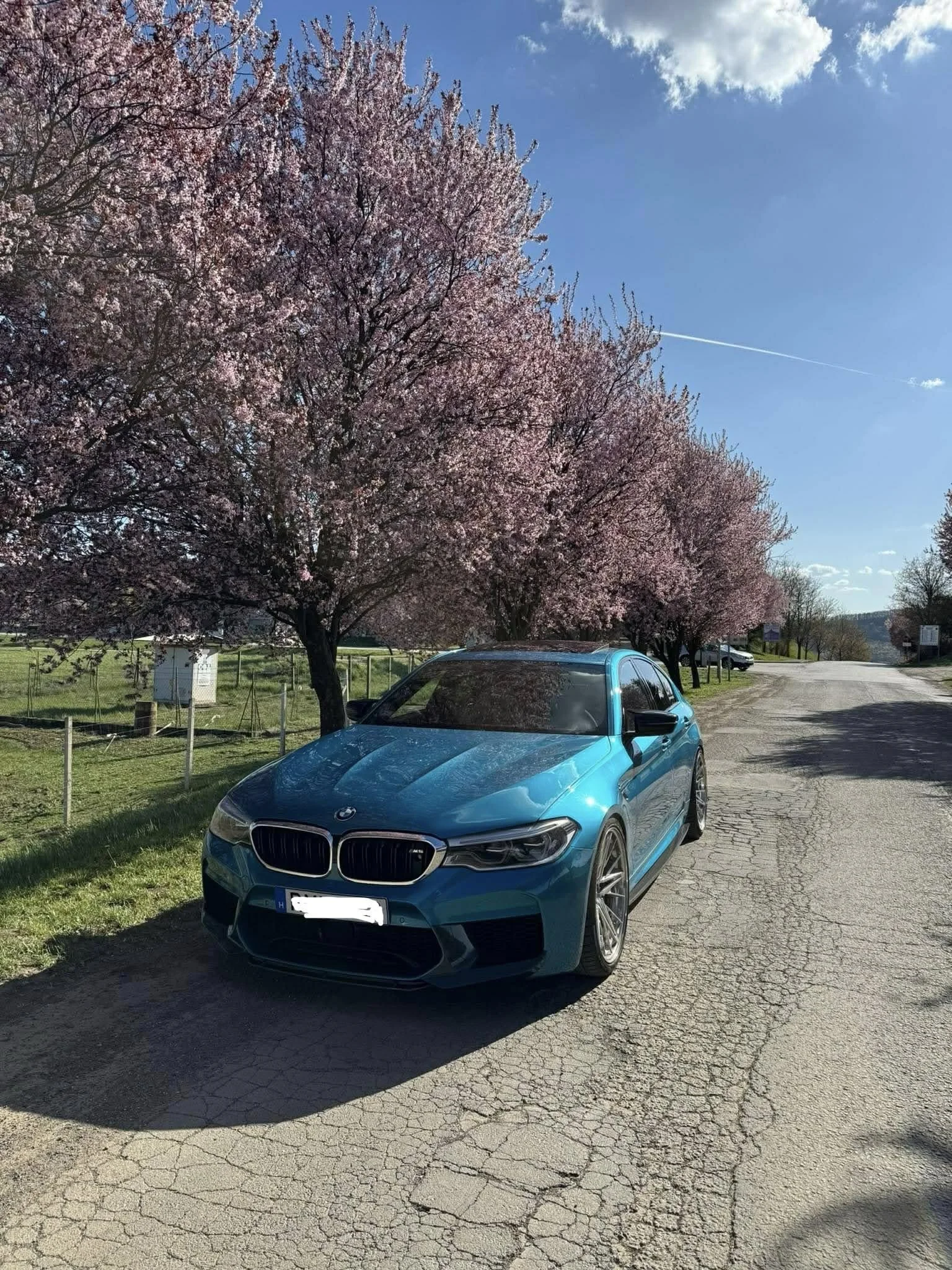 A blue BMW car parked on a paved street next to pink flowering trees on a sunny day with a blue sky and clouds.