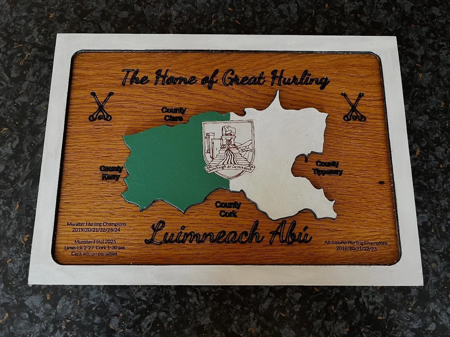 Birthday present for a young Limerick fan 💚🤍