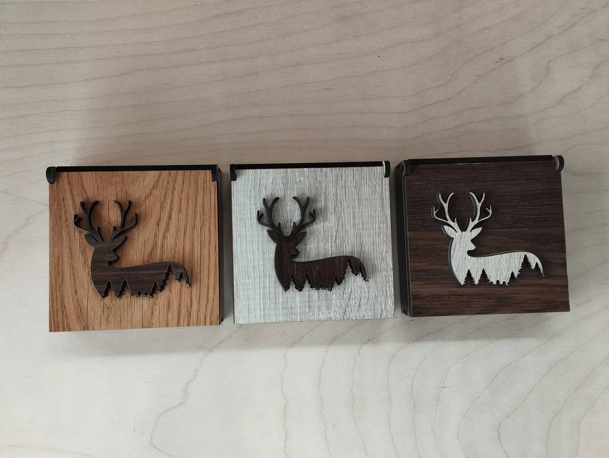 WhatsApp Image 2025-11-11 at 13.18.28.jpeg