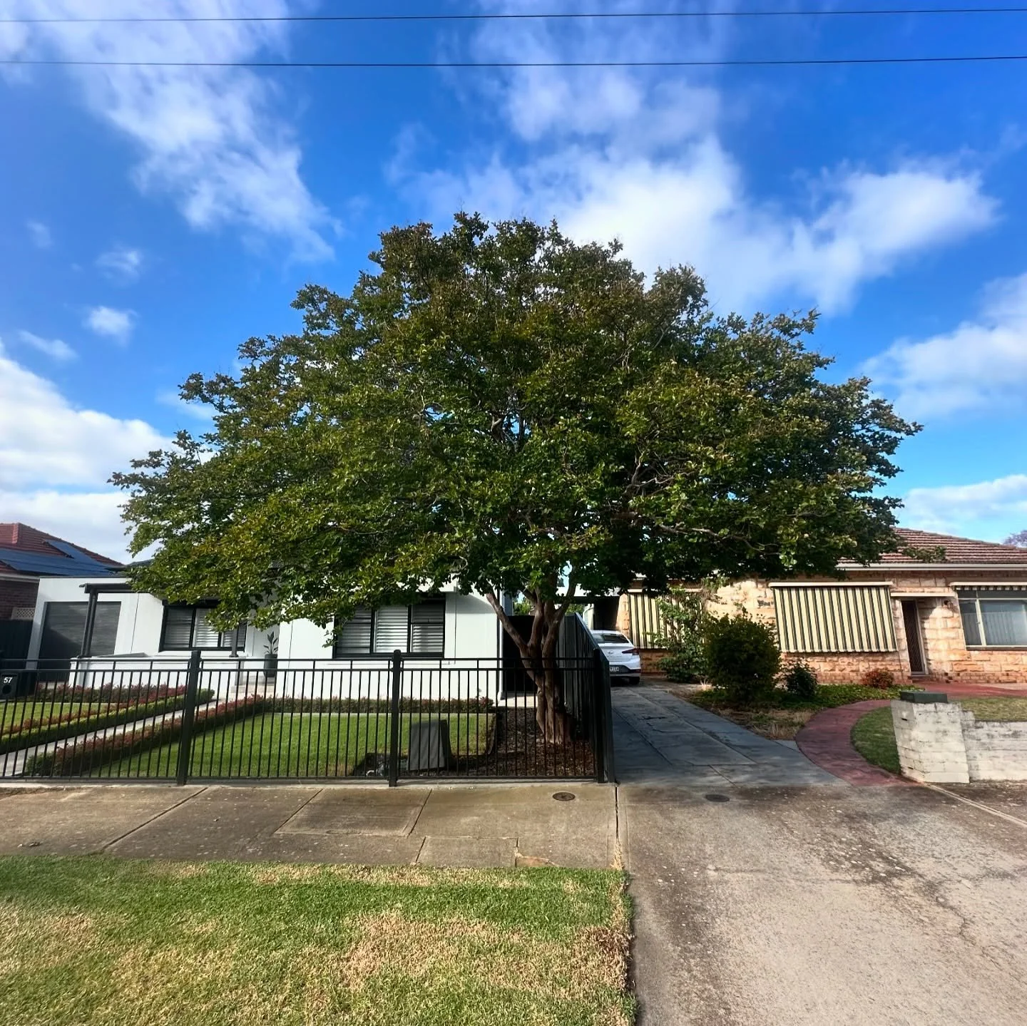 🌳 Out with the old, in with the new! 💥 

Completely changed the look of this front yard 🤩

✅ More sunlight
✅ Cleaner structure
✅ Low maintenance
✅ Opened space
✅ Instant street appeal 🌿

We removed an overgrown tree that was blocking light and ta