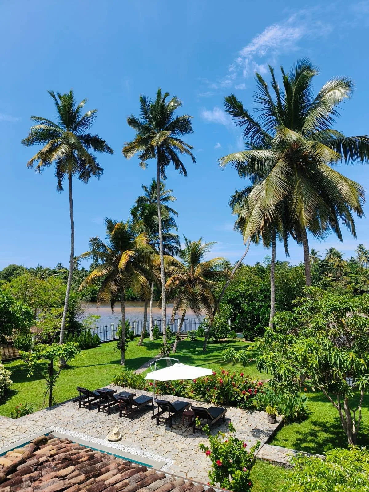 receiving-retreat-sun-chairs-umbrella-and-palm-trees.jpg