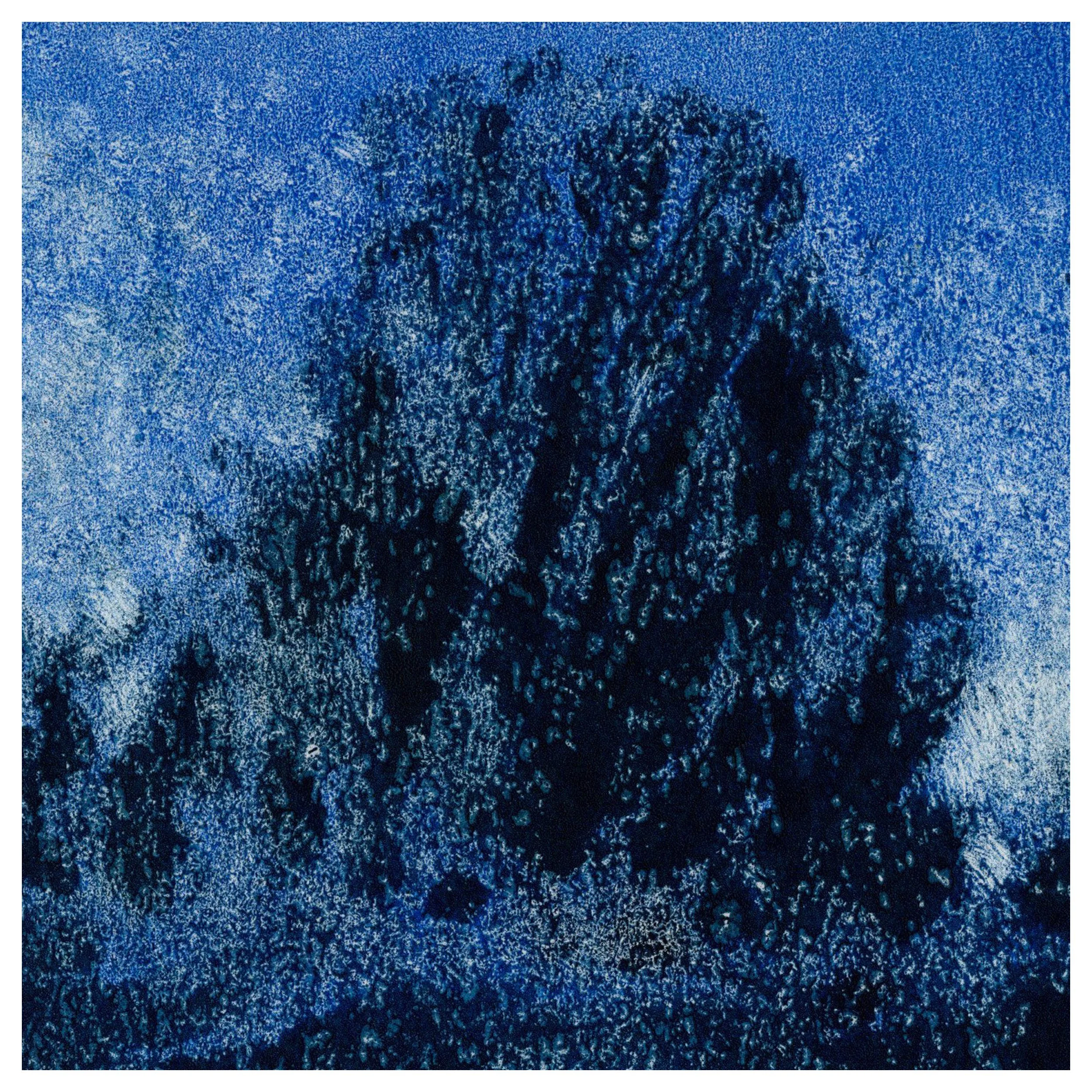 coloumono 2 detail.jpg