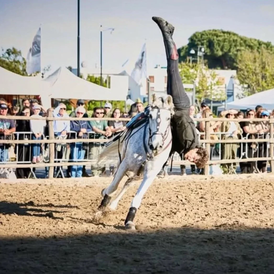 Uomo su un cavallo che sta cadendo, mentre si rovescia con un'erezione in un'area da rodeo o spettacolo equino, davanti a un pubblico e tote bianche.