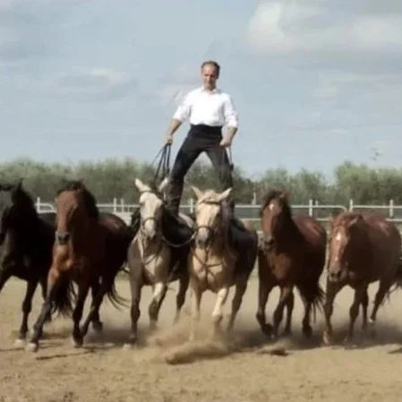Un uomo in piedi sulle staffe di un cavallo mentre lo guida tra altri cavalli al galoppo