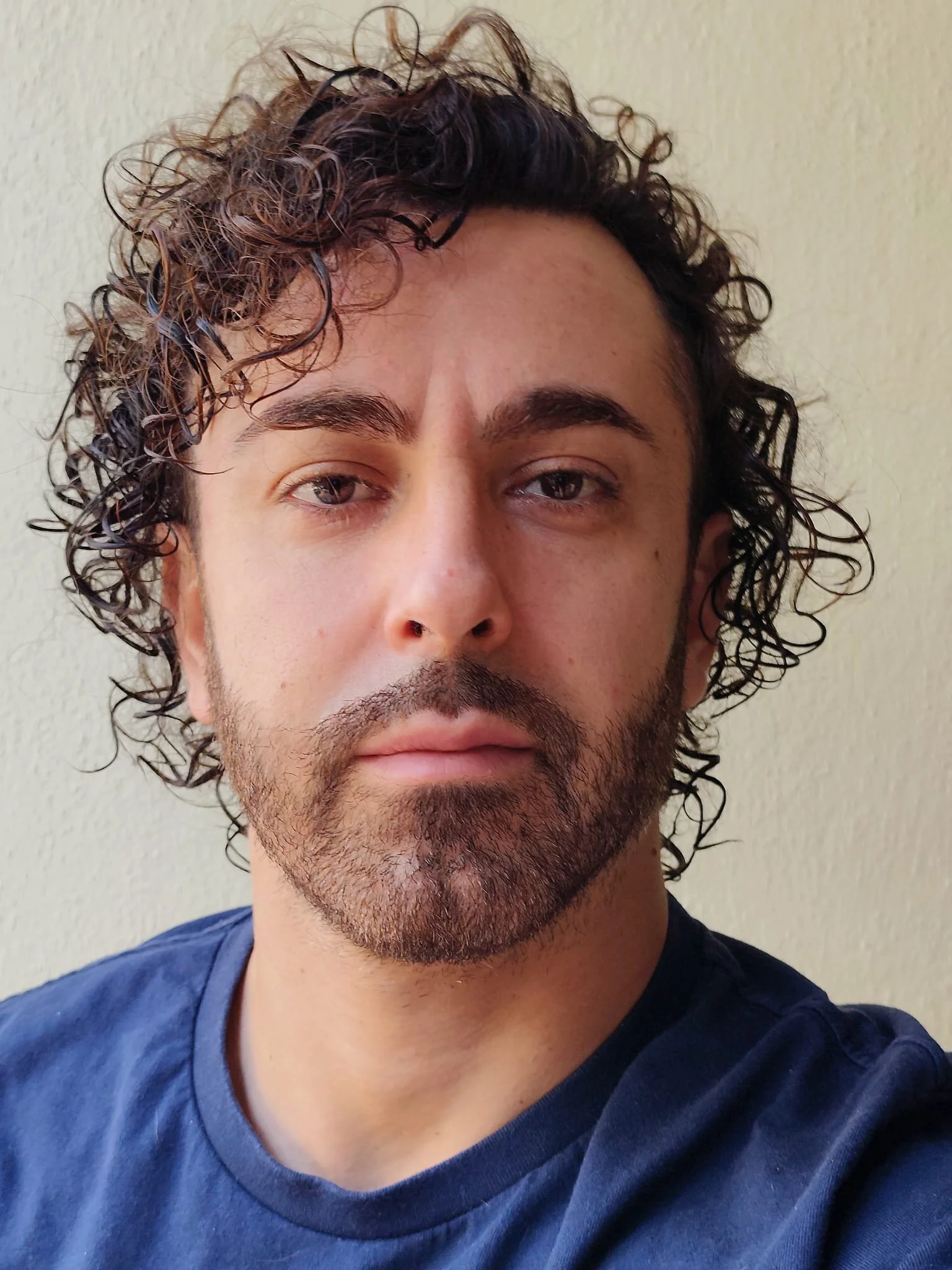 Ritratto di un uomo con capelli ricci e barba, che indossa una maglietta blu, con sfondo neutro.