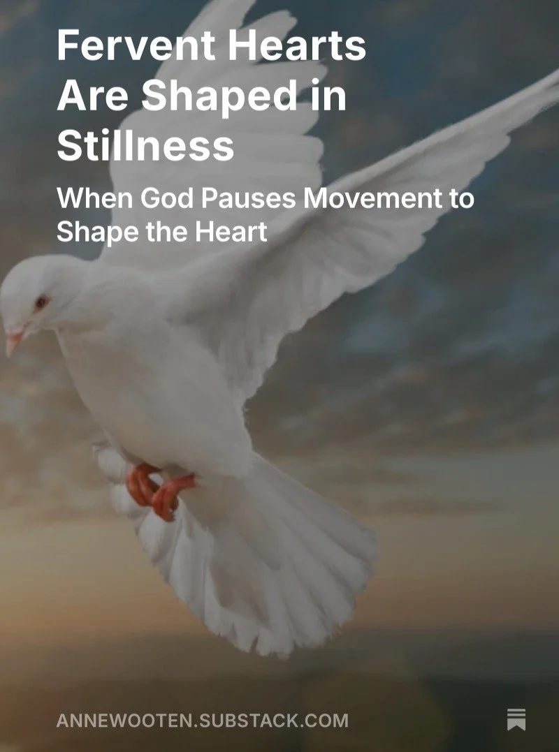 Fervent Hearts Are Shaped in Stillness
.
.
.
My pace has slowed.
My prayers have deepened.
And somewhere in the quiet, God is reshaping me.

If you&rsquo;re sensing that too, 
I pray these words meet you gently today. 🌿🙏

🔗 New blog post on substa